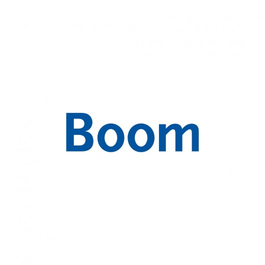 Logo Uitgeverij Boom